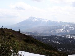 岩手県 観光