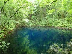 青森県 観光