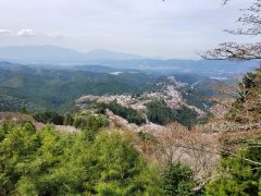 奈良県 観光